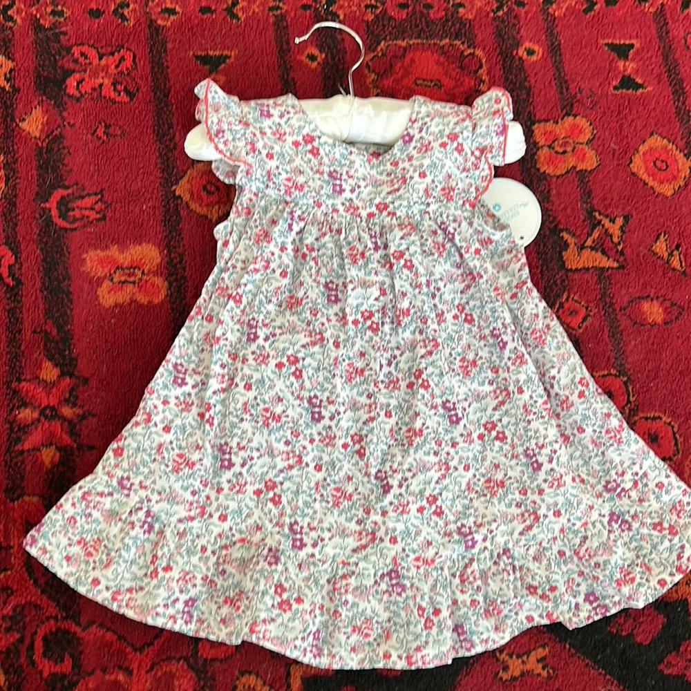 9 month edgehill collection floral ruffle dress
